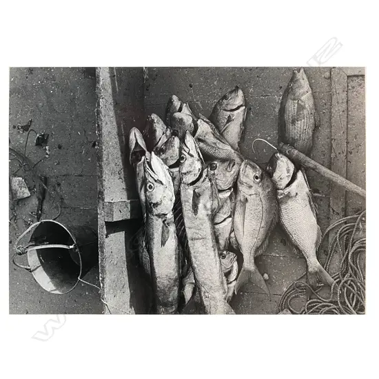 Gary Baigent (1941-) ‘Night catch Cavalli Islands, Northland’, 1969